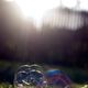 Image for article titled Shooting Challenge: Lens Flare Gallery Part Two